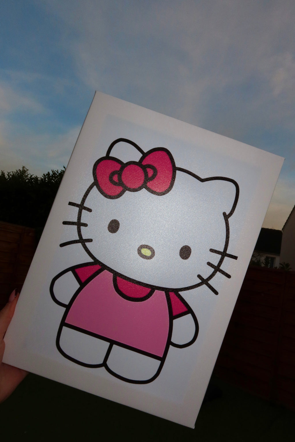 KIT DIY KITTY