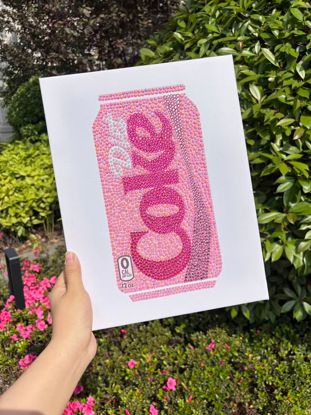 DIY Pink Diet Coke Rhinestone Canvas Art Kit