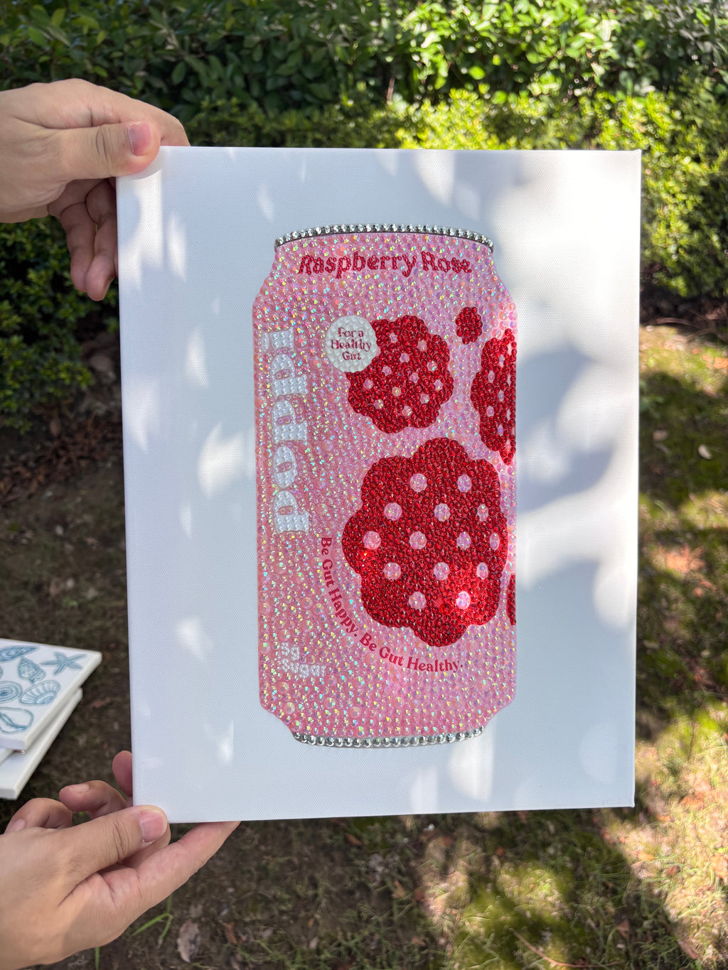 DIY Poppi Raspberry Rose Drink Kit