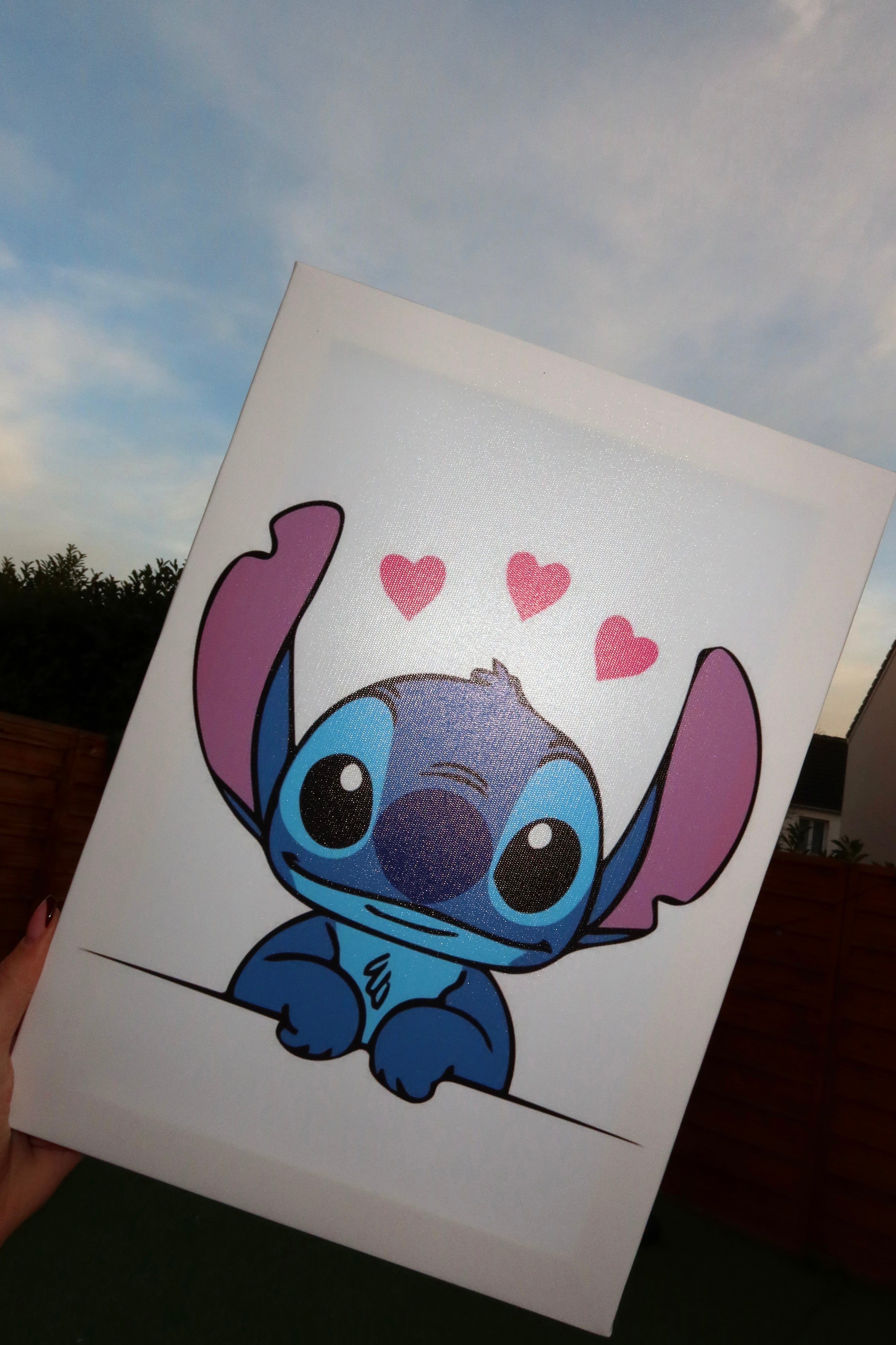 KIT DIY STITCH