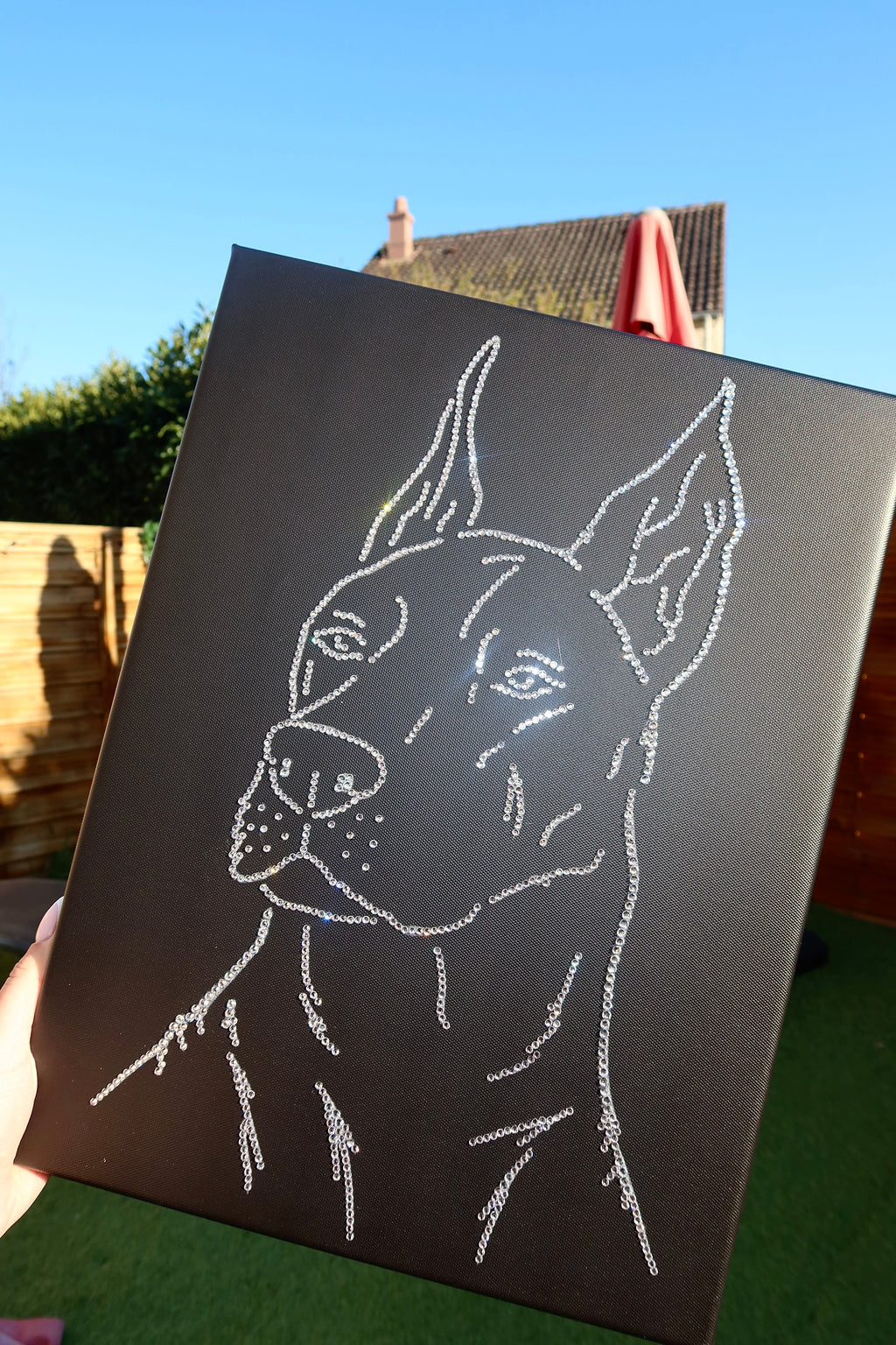 KIT DIY CHIEN