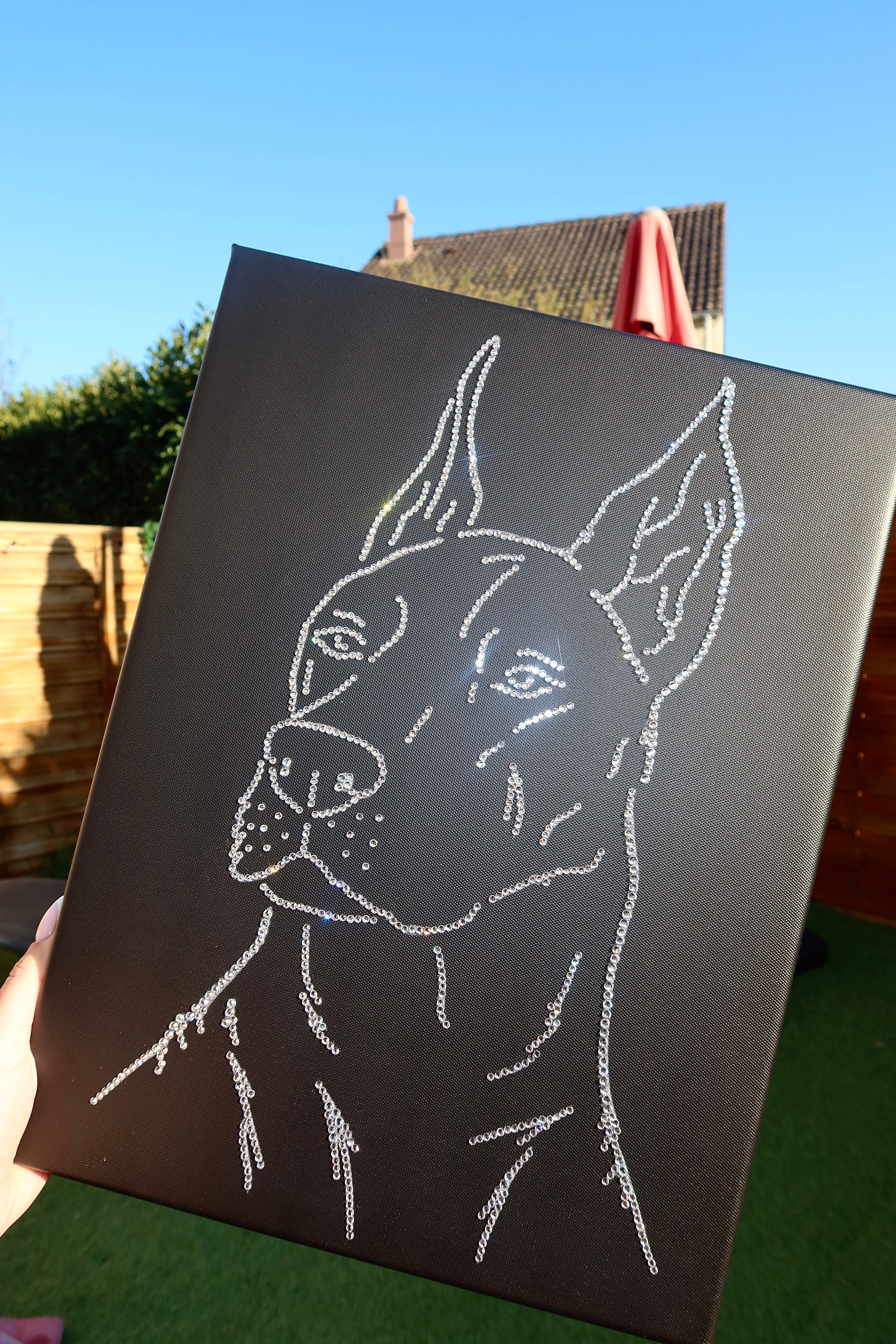 KIT DIY CHIEN