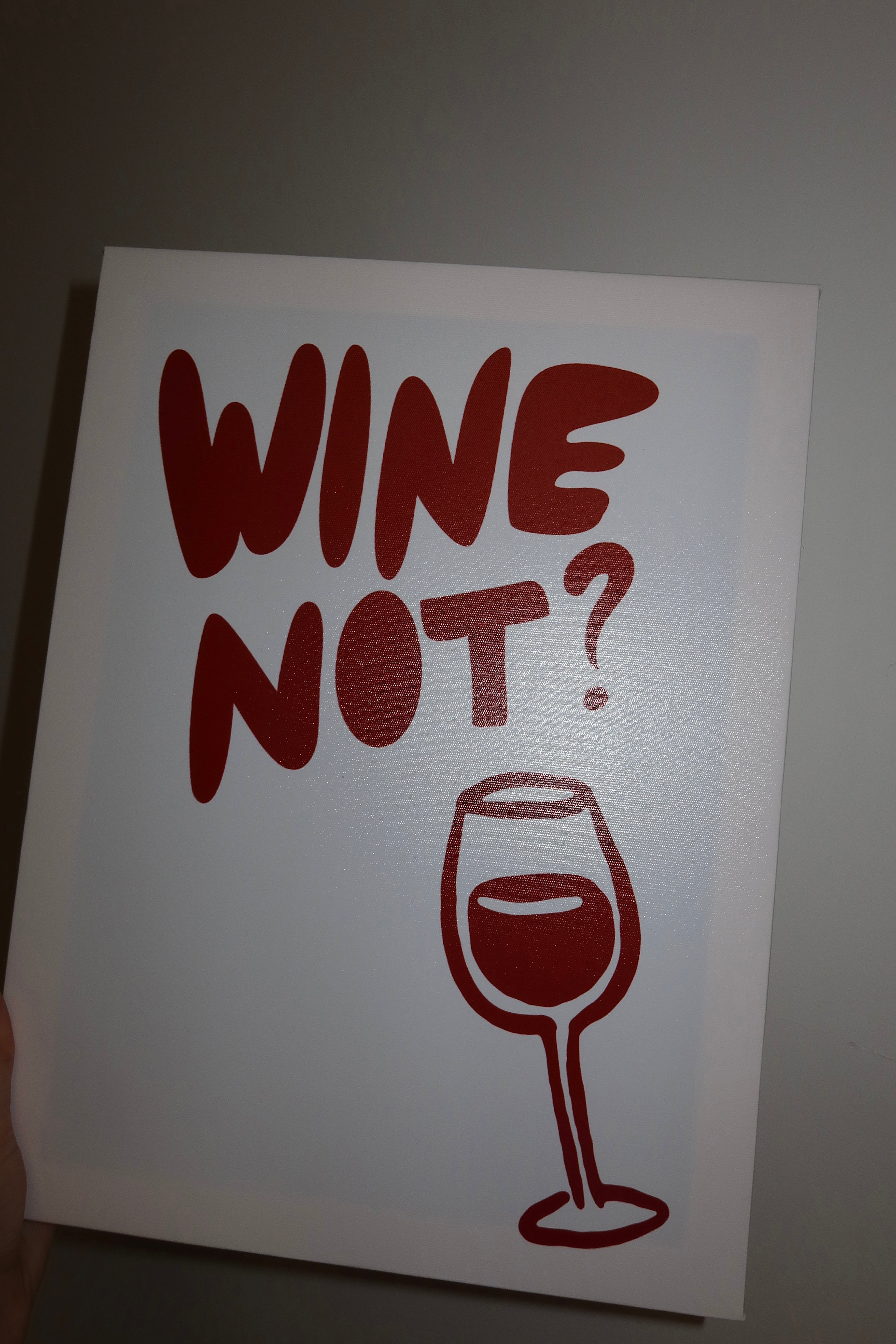 RED WINE DIY KIT